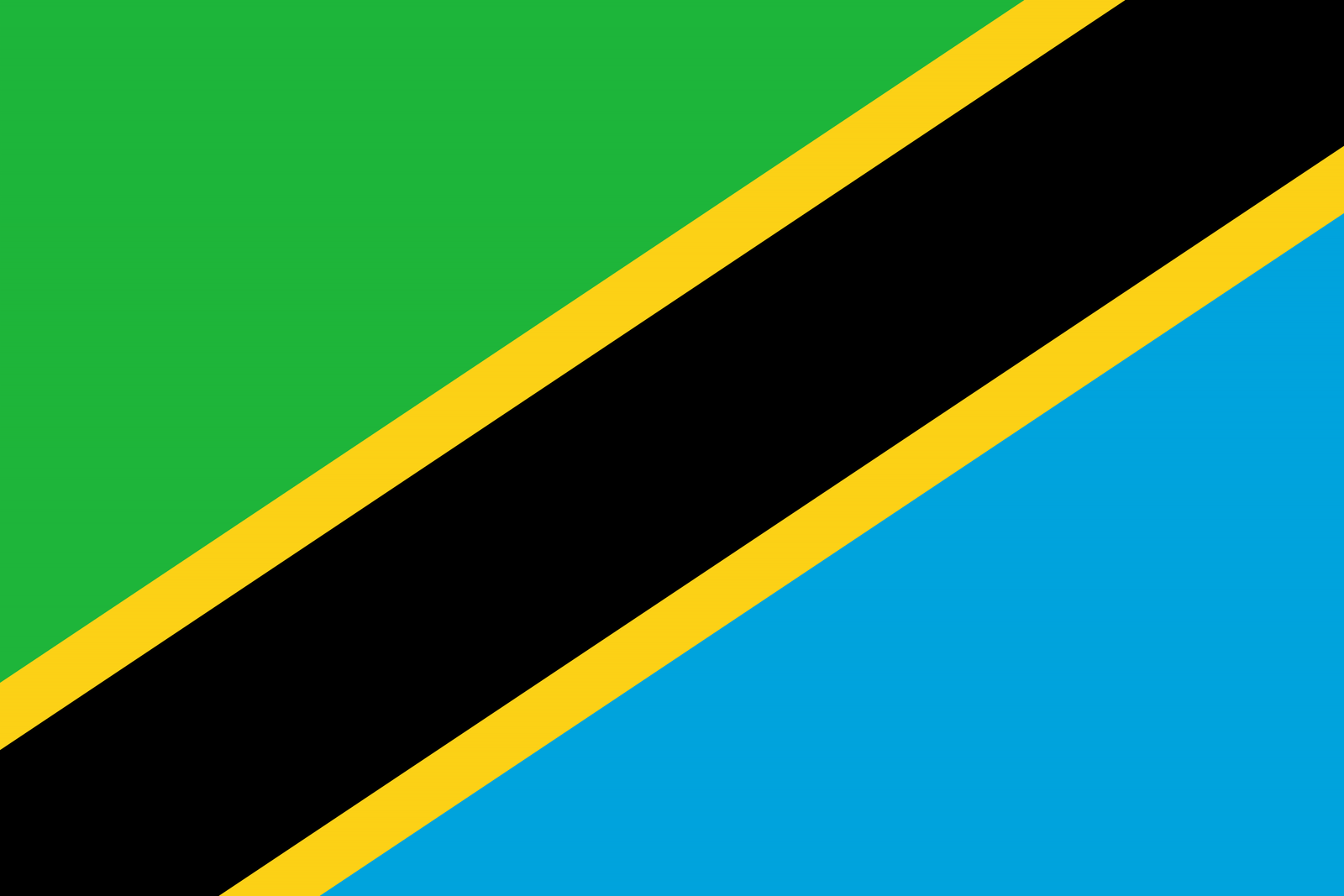 Tanzania Flag